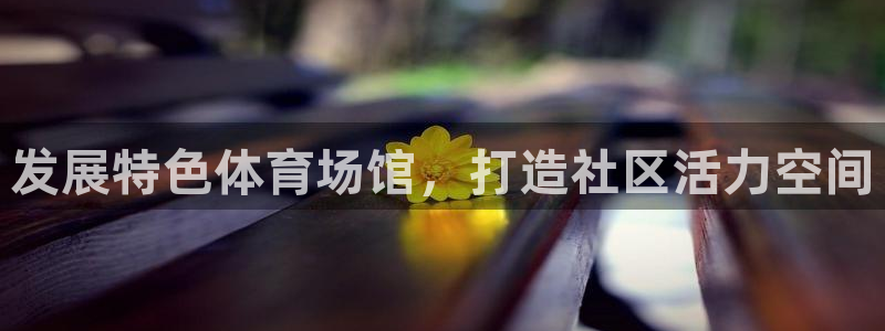 意昂4神州：发展特色体育场馆，打造社区活力空间