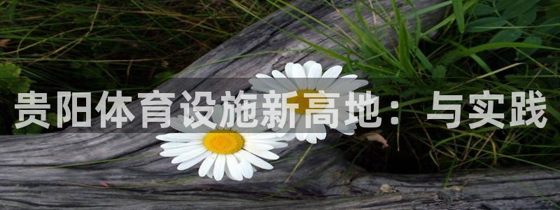 意昂体育4平台假的吗是真的吗吗：贵阳体育设施新高地：