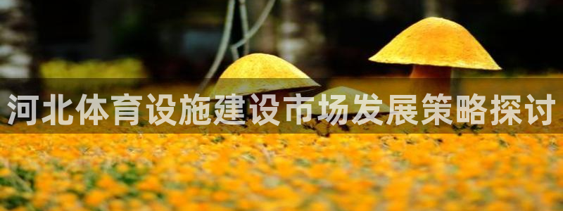 意昂4娱乐代理怎么样：河北体育设施建设市场发展策略探