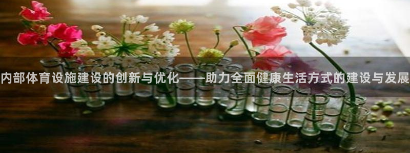意昂4娱乐下载：内部体育设施建设的创新与优化——助力全面健康