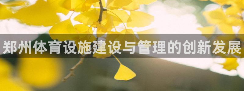 意昂体育4官方客服电话：郑州体育设施建设与管理的创新