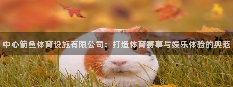 意昂体育4平台假的吗是真的吗吗：中心箭鱼体育设施有限公司：打