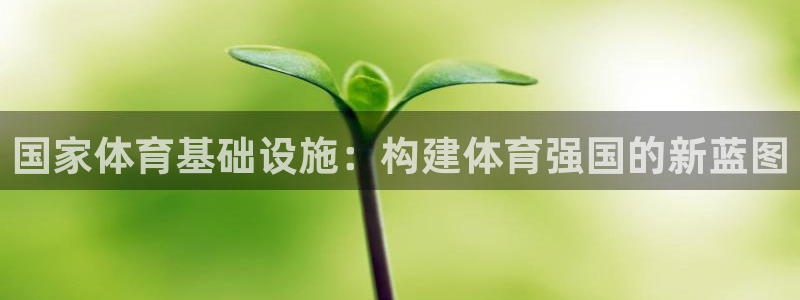 意昂体育4：国家体育基础设施：构建体育强国的新蓝图