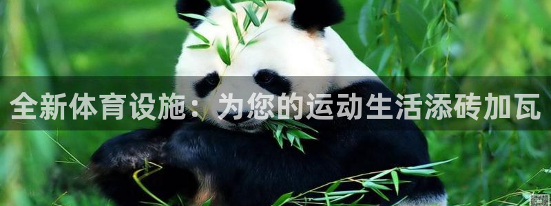 德国意昂4集团：全新体育设施：为您的运动生活添砖加瓦