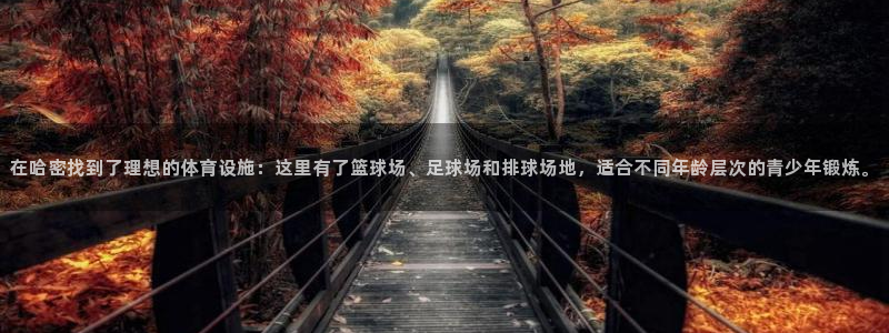 意昂体育4招商电话是多少：在哈密找到了理想的体育设施：这里有 