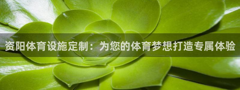 德国意昂4集团：资阳体育设施定制：为您的体育梦想打造