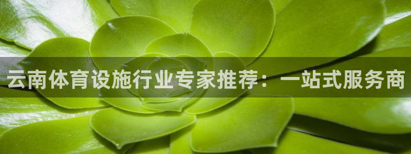 意昂4集团官网网址：云南体育设施行业专家推荐：一站式