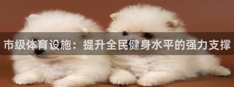 意昂4娱乐首页官网下载：市级体育设施：提升全民健身水