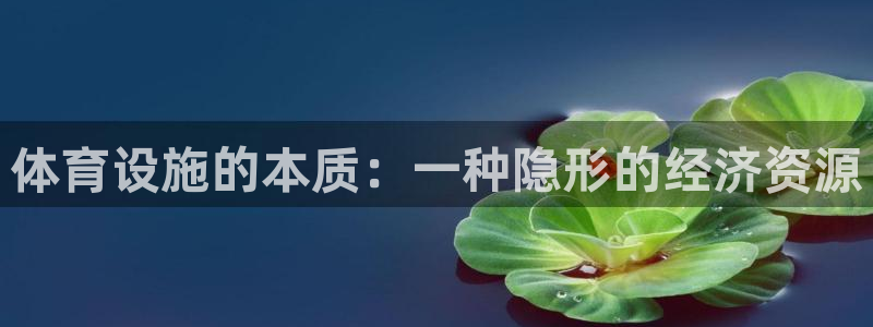 意昂体育4招商电话号码查询：体育设施的本质：一种隐形