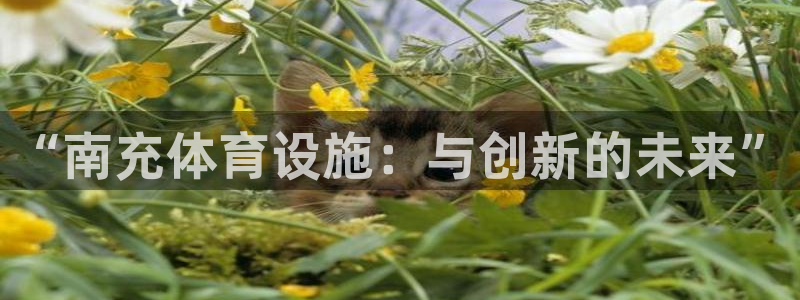 意昂体育4招商电话地址是多少：“南充体育设施：与创新