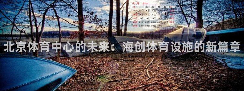 意昂4科技：北京体育中心的未来：海创体育设施的新篇章