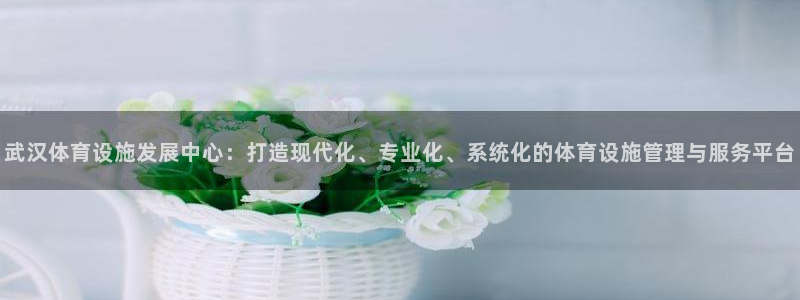 意昂体育4注册：武汉体育设施发展中心：打造现代化、专