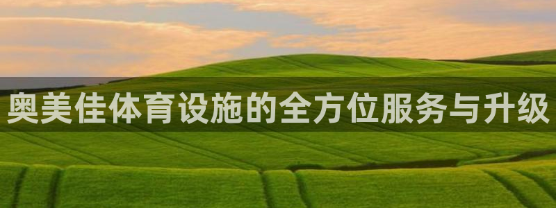 意昂4集团E.ON：奥美佳体育设施的全方位服务与升级