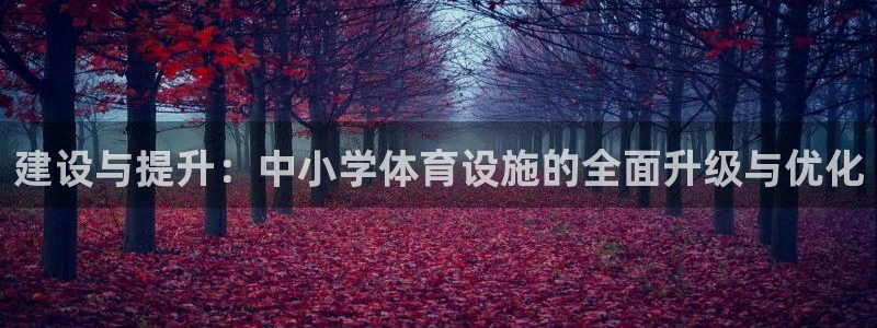 意昂体育4招商：建设与提升：中小学体育设施的全面升级