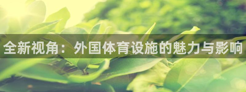 意昂体育4软件：全新视角：外国体育设施的魅力与影响