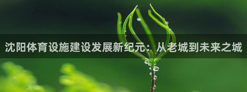 意昂体育4注册：沈阳体育设施建设发展新纪元：从老城到