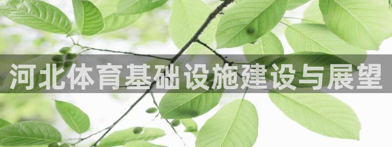 意昂体育4招商电话号码是多少号：河北体育基础设施建设