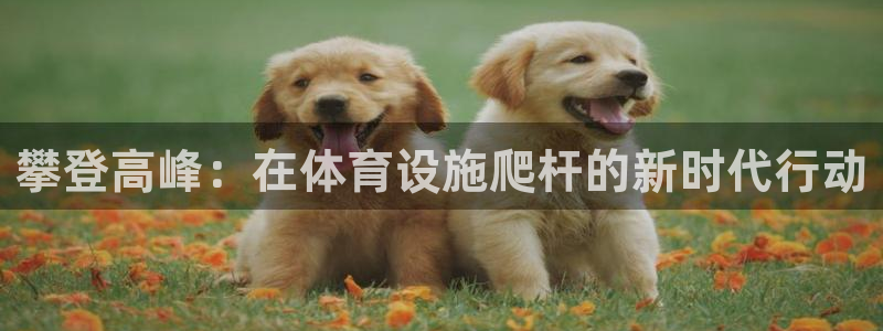 意昂体育4招商电话是多少啊：攀登高峰：在体育设施爬杆