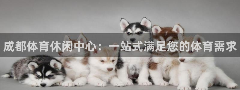 意昂4开户：成都体育休闲中心：一站式满足您的体育需求