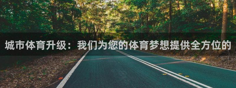 意昂4集团logo：城市体育升级：我们为您的体育梦想