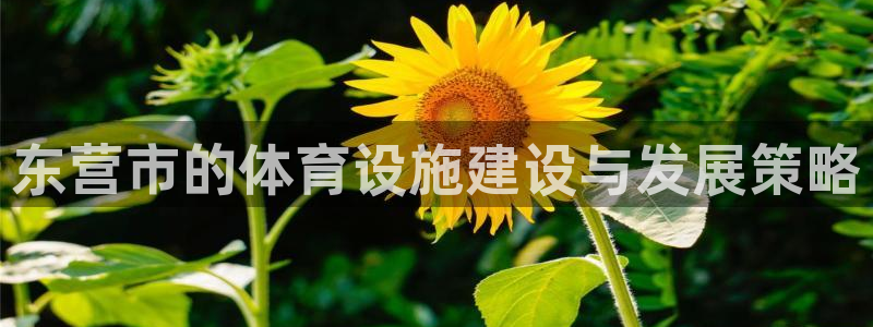 意昂体育4娱乐：东营市的体育设施建设与发展策略