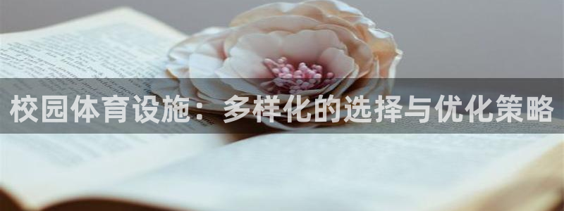 意昂体育4平台注册流程图：校园体育设施：多样化的选择