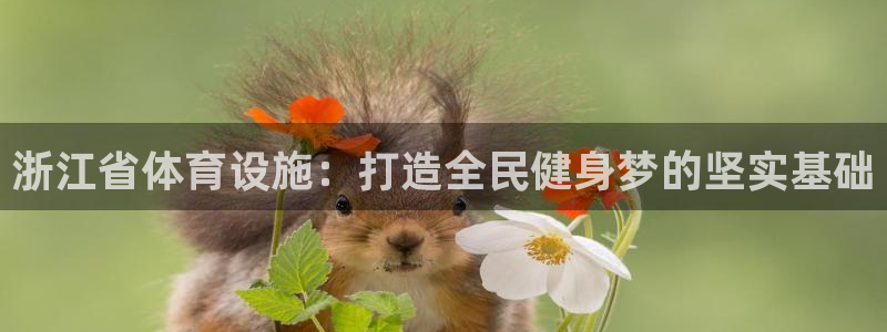 意昂4娱乐：浙江省体育设施：打造全民健身梦的坚实基础