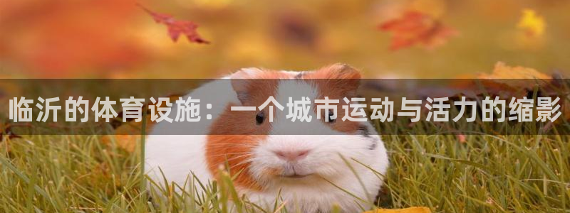 意昂体育4平台是正规平台吗安全吗：临沂的体育设施：一个城市运