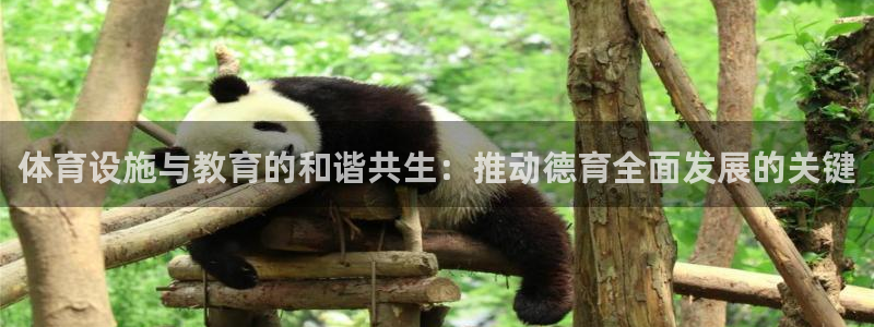 意昂体育4招商电话号码是多少啊：体育设施与教育的和谐共生：推 