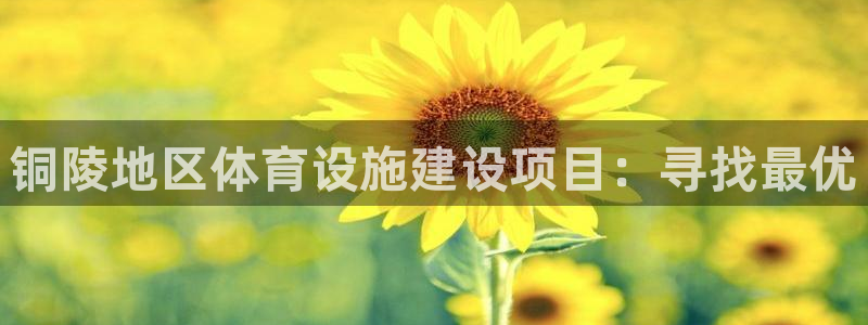 意昂体育4注册：铜陵地区体育设施建设项目：寻找最优