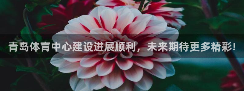 注册意昂4：青岛体育中心建设进展顺利，未来期待更多精彩! 