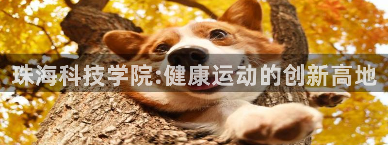 意昂4官方：珠海科技学院:健康运动的创新高地