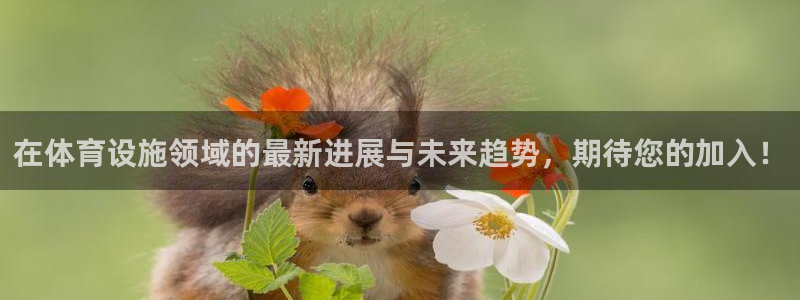 意昂集团官网：在体育设施领域的最新进展与未来趋势，期待您的加 