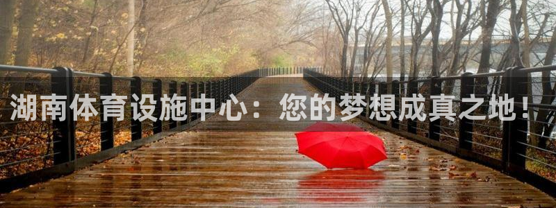 意昂4开户：湖南体育设施中心：您的梦想成真之地！