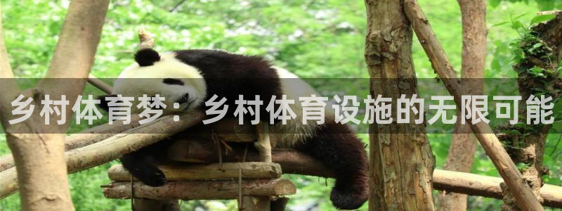 意昂体育4平台注册要钱吗是真的吗：乡村体育梦：乡村体育设施的 