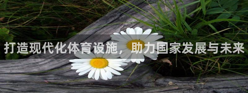 意昂体育4平台：打造现代化体育设施，助力国家发展与未来