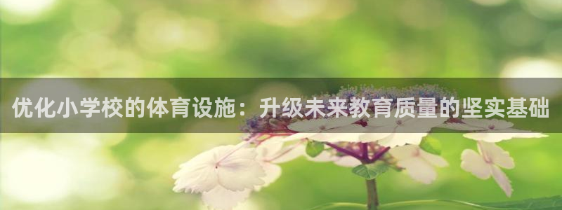 意昂体育4官方客服电话：优化小学校的体育设施：升级未来教育质