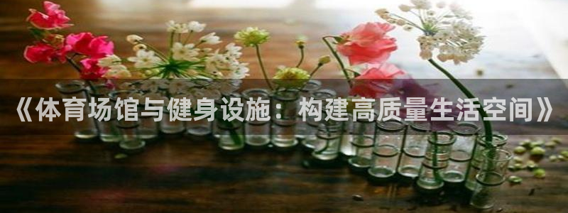 意昂4娱乐下载：《体育场馆与健身设施：构建高质量生活空间》 