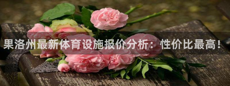 意昂4科技：果洛州最新体育设施报价分析：性价比最高！