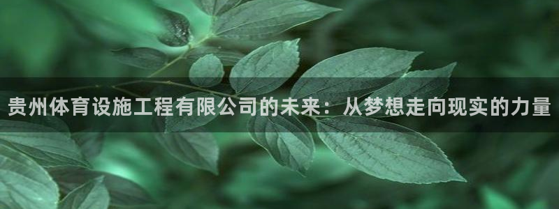 意昂体育4招商电话是多少：贵州体育设施工程有限公司的未来：从