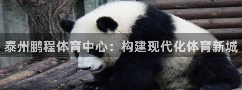 意昂体育4平台：泰州鹏程体育中心：构建现代化体育新城 