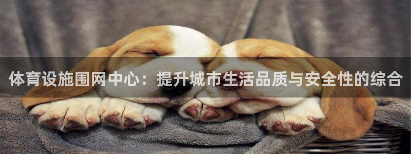 意昂4集团：体育设施围网中心：提升城市生活品质与安全性的综合