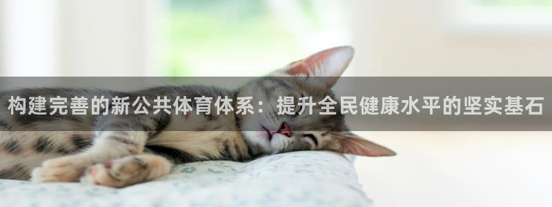 意昂4集团官网首页网址：构建完善的新公共体育体系：提升全民健