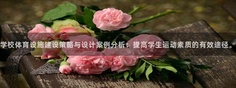 意昂体育4平台注册流程图：学校体育设施建设策略与设计案例分析