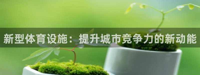意昂4五金厂：新型体育设施：提升城市竞争力的新动能 