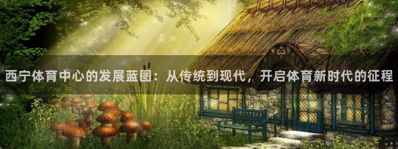 意昂体育4招商电话地址查询：西宁体育中心的发展蓝图：从传统到 