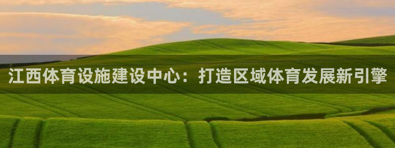 意昂体育4是干嘛的公司：江西体育设施建设中心：打造区域体育发
