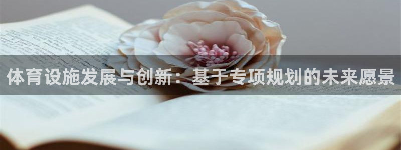 意昂4官网：体育设施发展与创新：基于专项规划的未来愿景