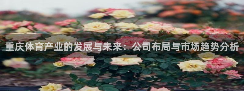 意昂4集团官网首页：重庆体育产业的发展与未来：公司布局与市场